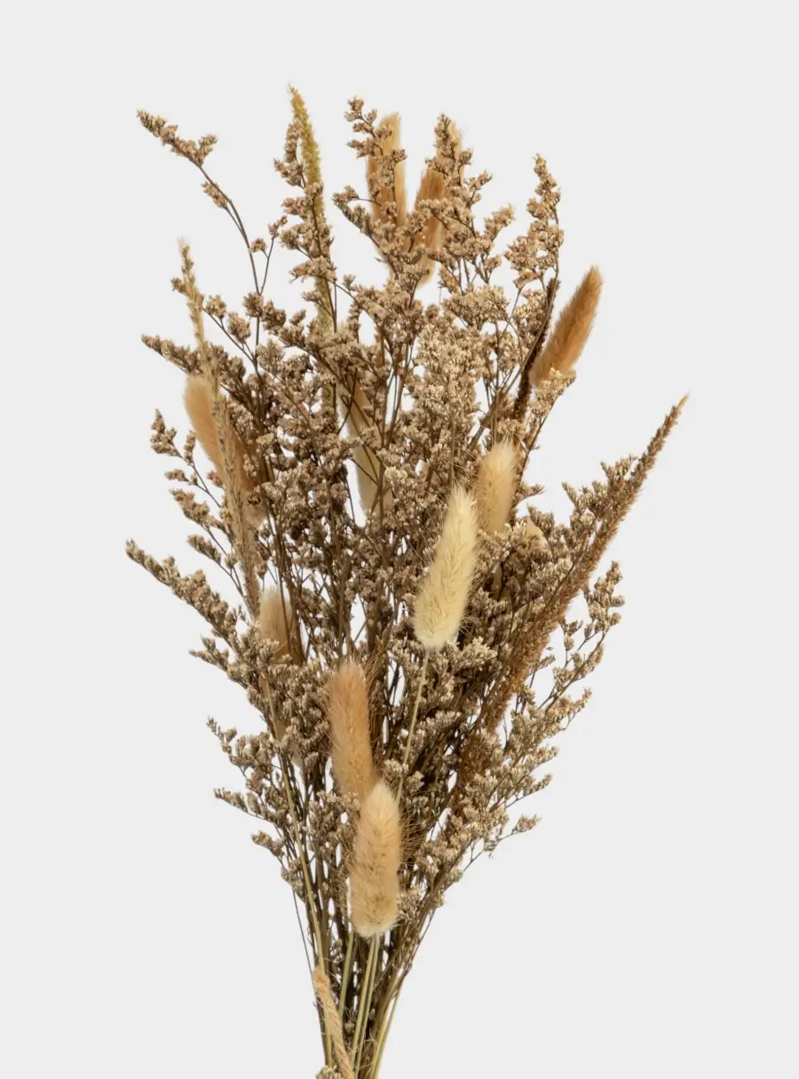 Букет декоративный, 60 см, сухоцветы, Interior spring ,image-1
