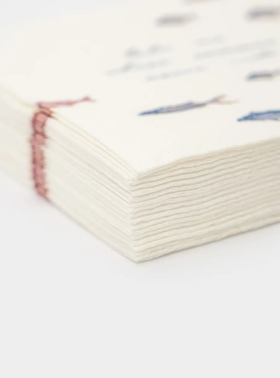 Салфетки бумажные, 21х21 см, 20 шт, квадратные, белые, Рыбы, Sea world ,image-3