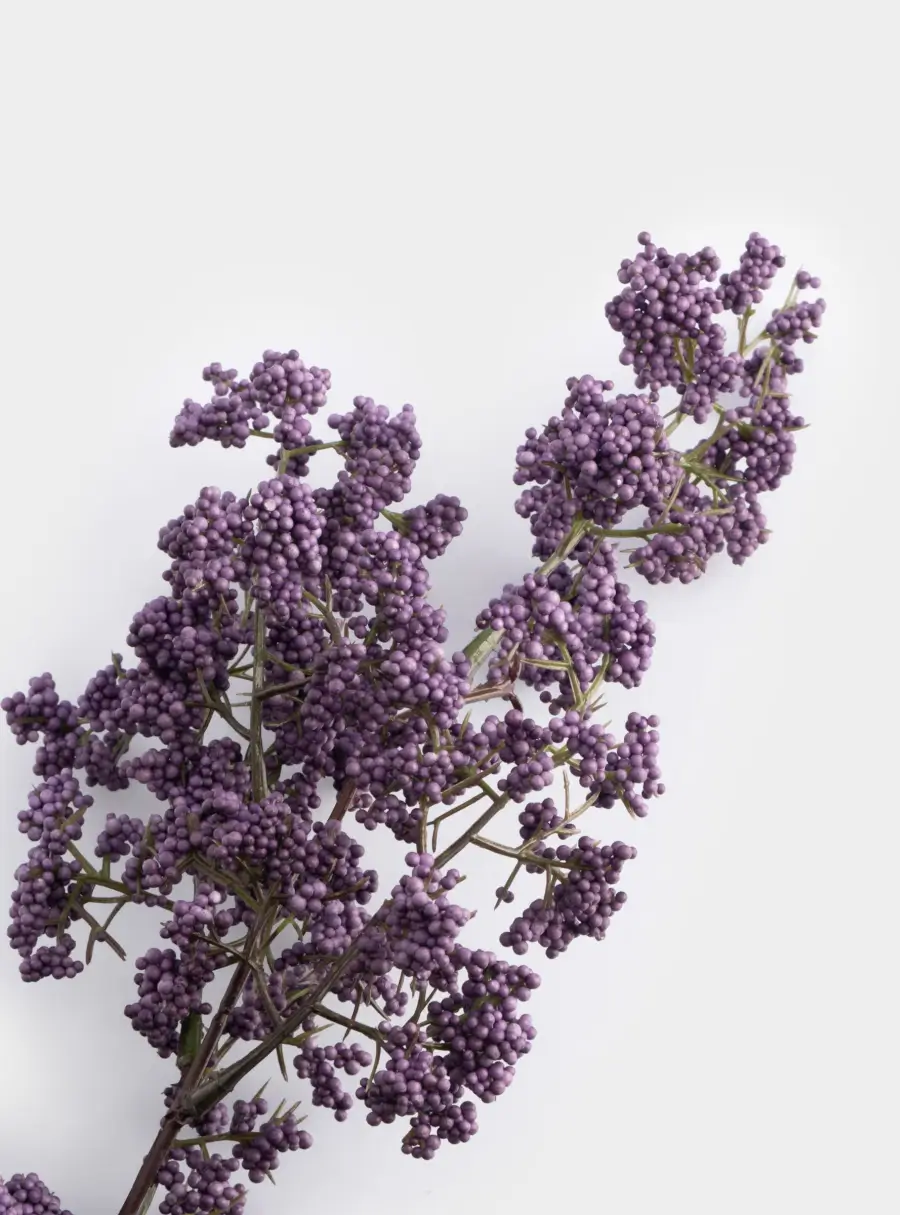 Ветка декоративная, 70 см, полиэтилен/металл, Сирень, Interior spring ,image-1