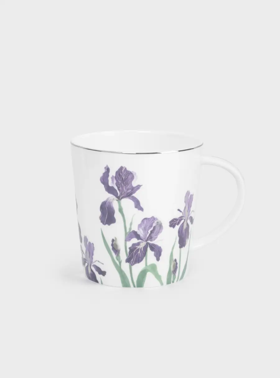 Кружка, 450 мл, фарфор F, белая, с золотистым кантом, Ирисы, Giardino ,image-1