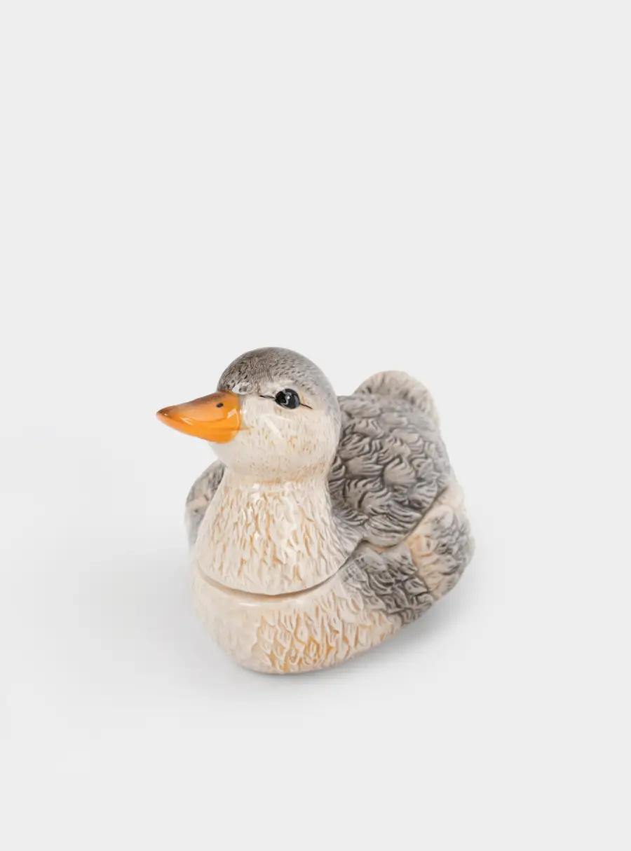 Сахарница, 11 см, 220 мл, с ложкой, керамика D, Утка, Duck ,image-3