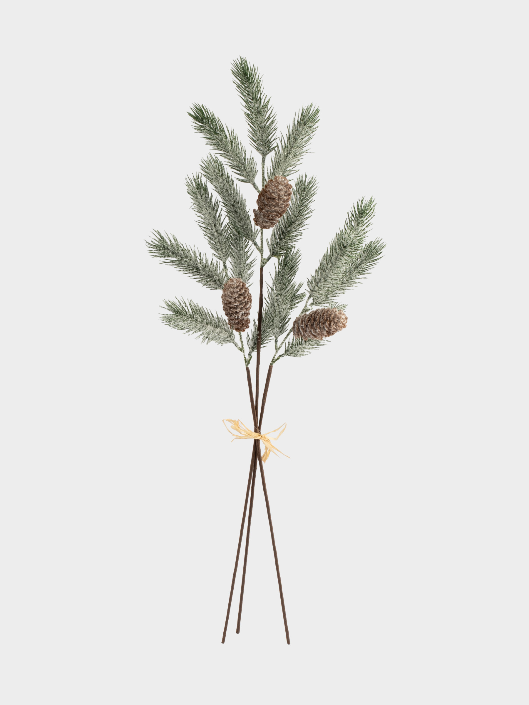 Ветка декоративная, 70 см, пластик/шишки, Шишки на ветке, Interior natural, image-0