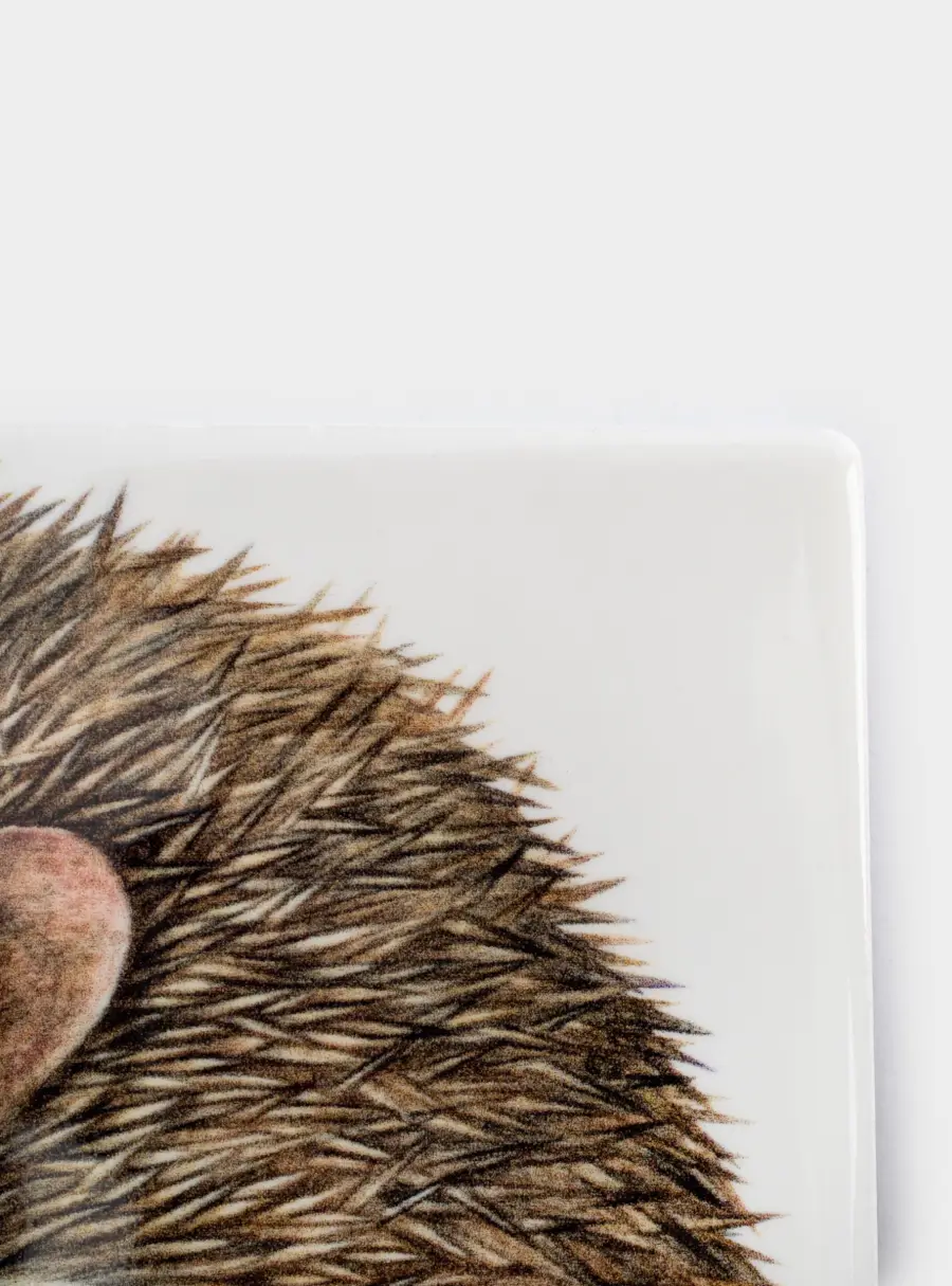 Подставка под кружку, 11 см, квадратная, керамика/пробка, белая, Еж Autumn forest ,image-2