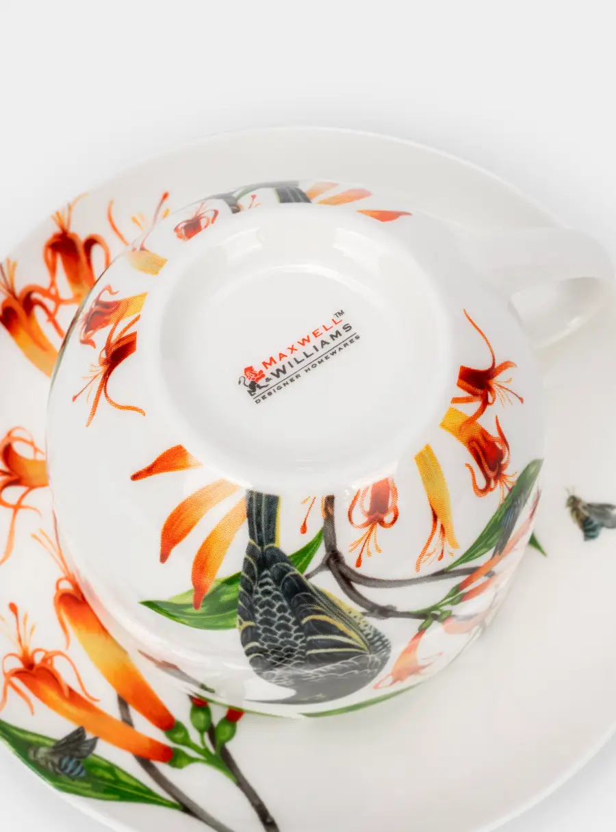 Пара чайная, 1 перс, 2 пр, 320 мл, фарфор F, белая, Бородавчатый медосос, Lyric ,image-3