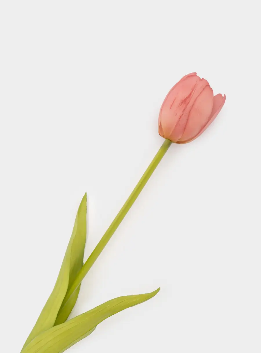 Цветок искусственный, 40 см, полиэтилен, Розовый тюльпан, Interior spring ,image-1