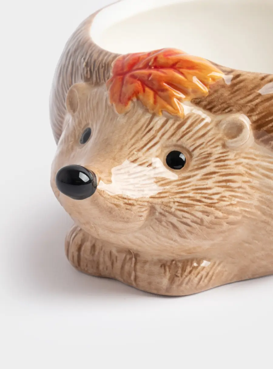 Конфетница, 21х15 см, керамика, коричневая, Еж с листом, Autumn forest, image-5