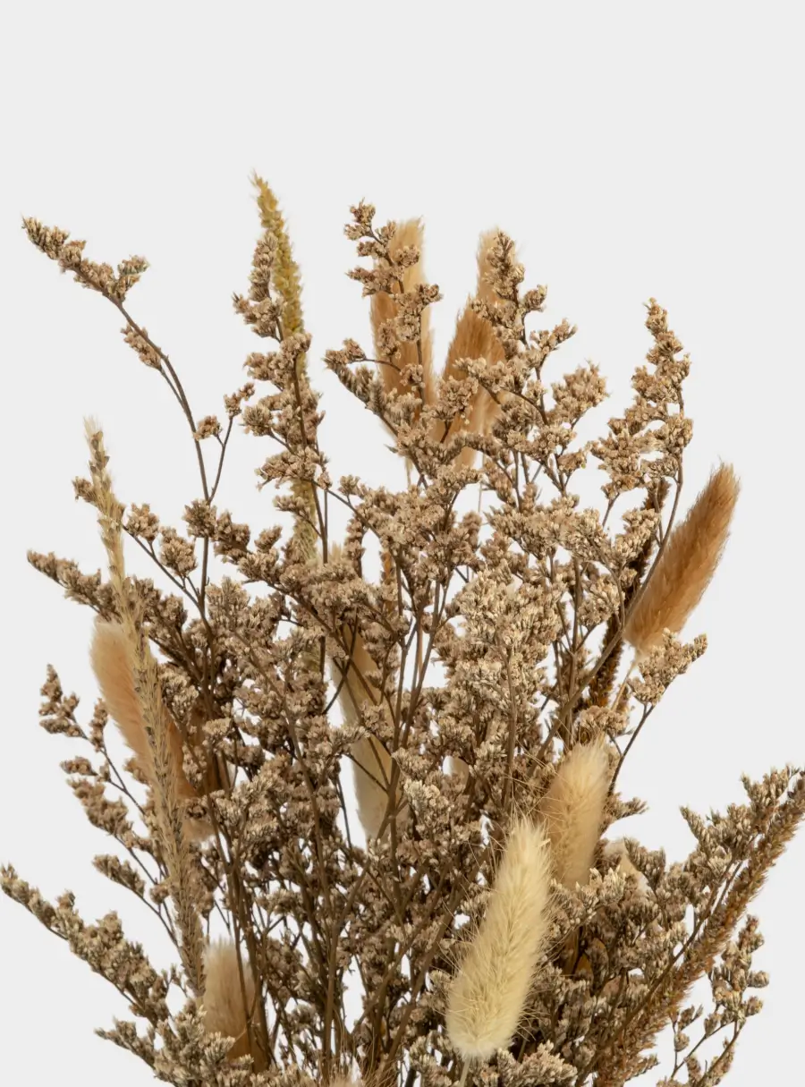 Букет декоративный, 60 см, сухоцветы, Interior spring ,image-2