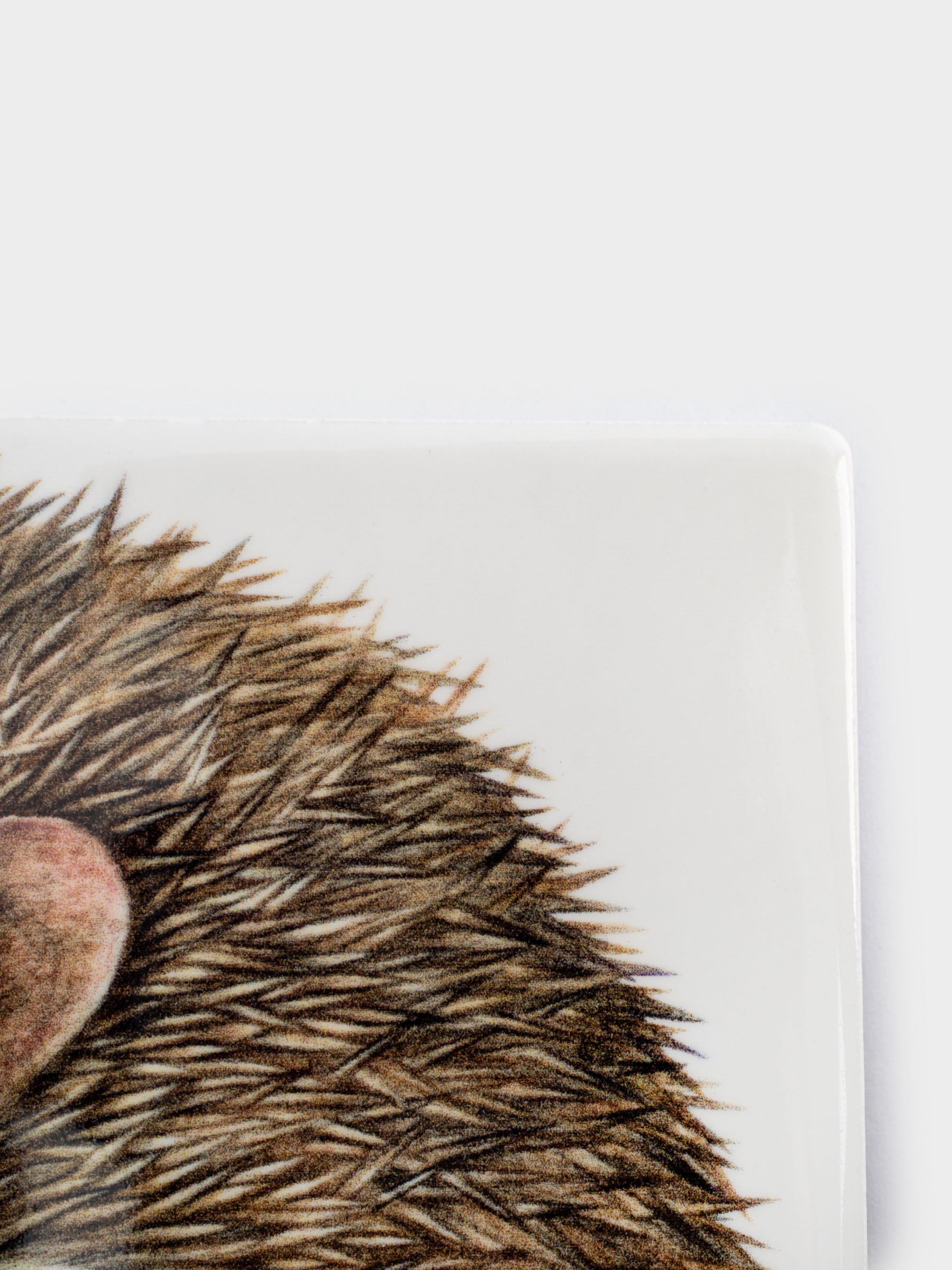 Подставка под кружку, 11 см, квадратная, керамика/пробка, белая, Еж Autumn forest, image-2