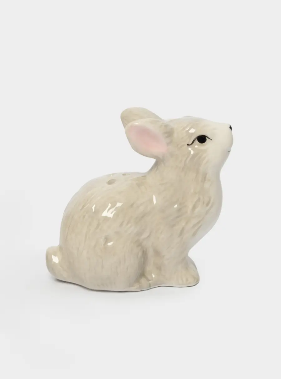 Емкость для соли или перца, 8 см, керамика, серая, Кролик с цветами, Brown Rabbit ,image-1