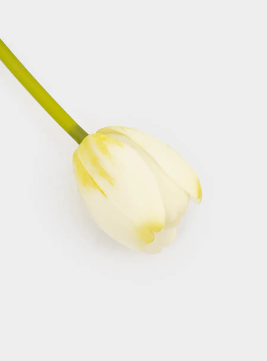 Цветок искусственный, 40 см, полиэтилен, Белый тюльпан, Interior spring ,image-2