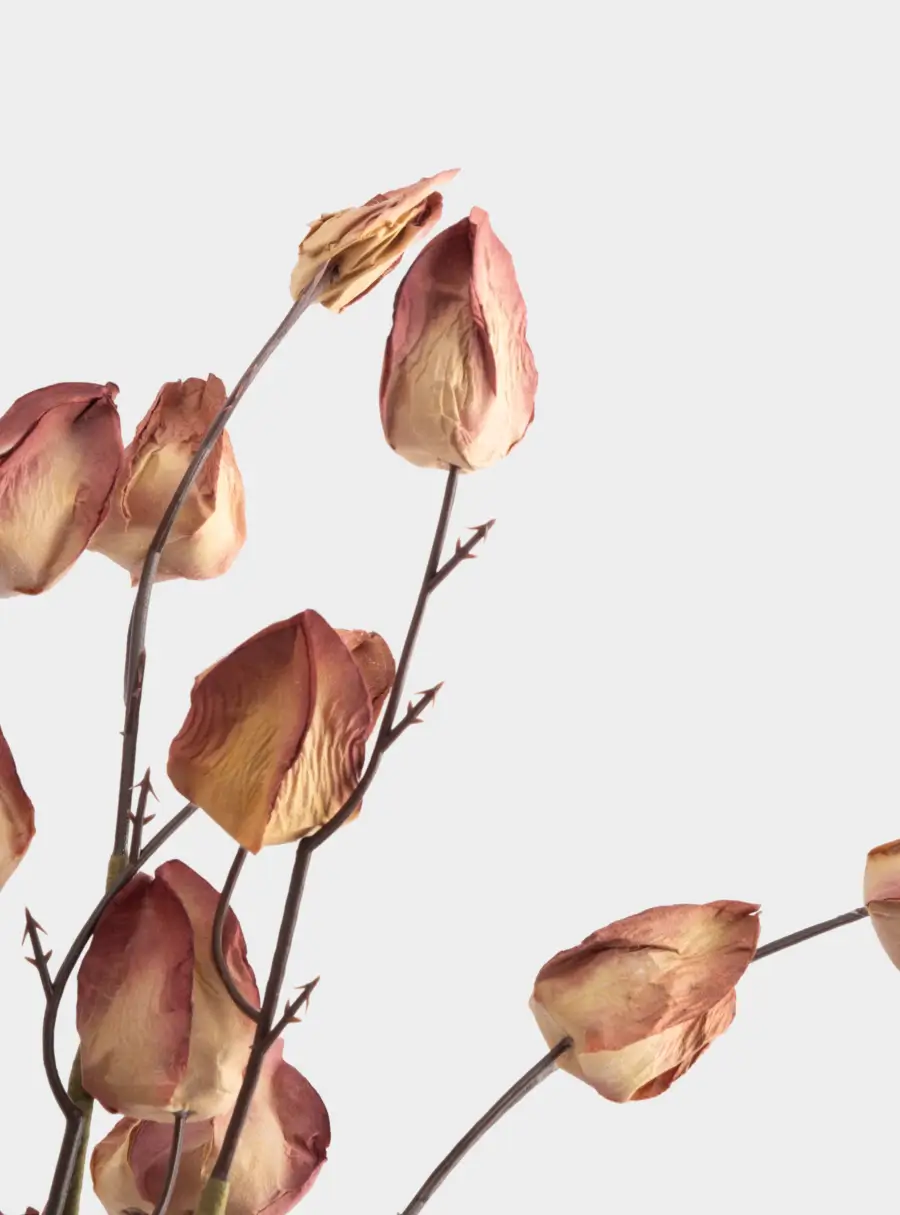 Ветка декоративная, 46 см, пенопласт/бумага, Бутоны, Light autumn ,image-3