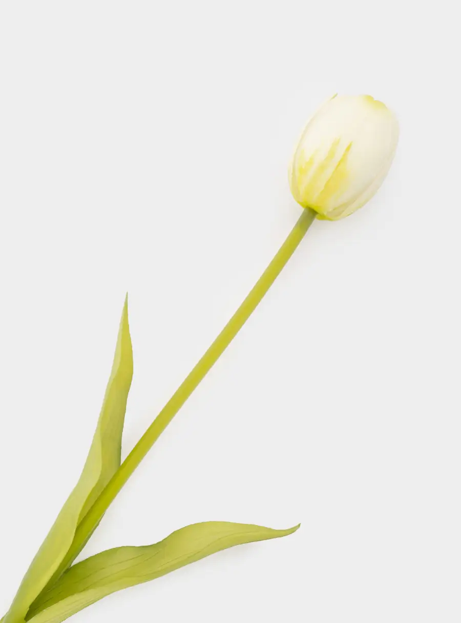 Цветок искусственный, 40 см, полиэтилен, Белый тюльпан, Interior spring ,image-1