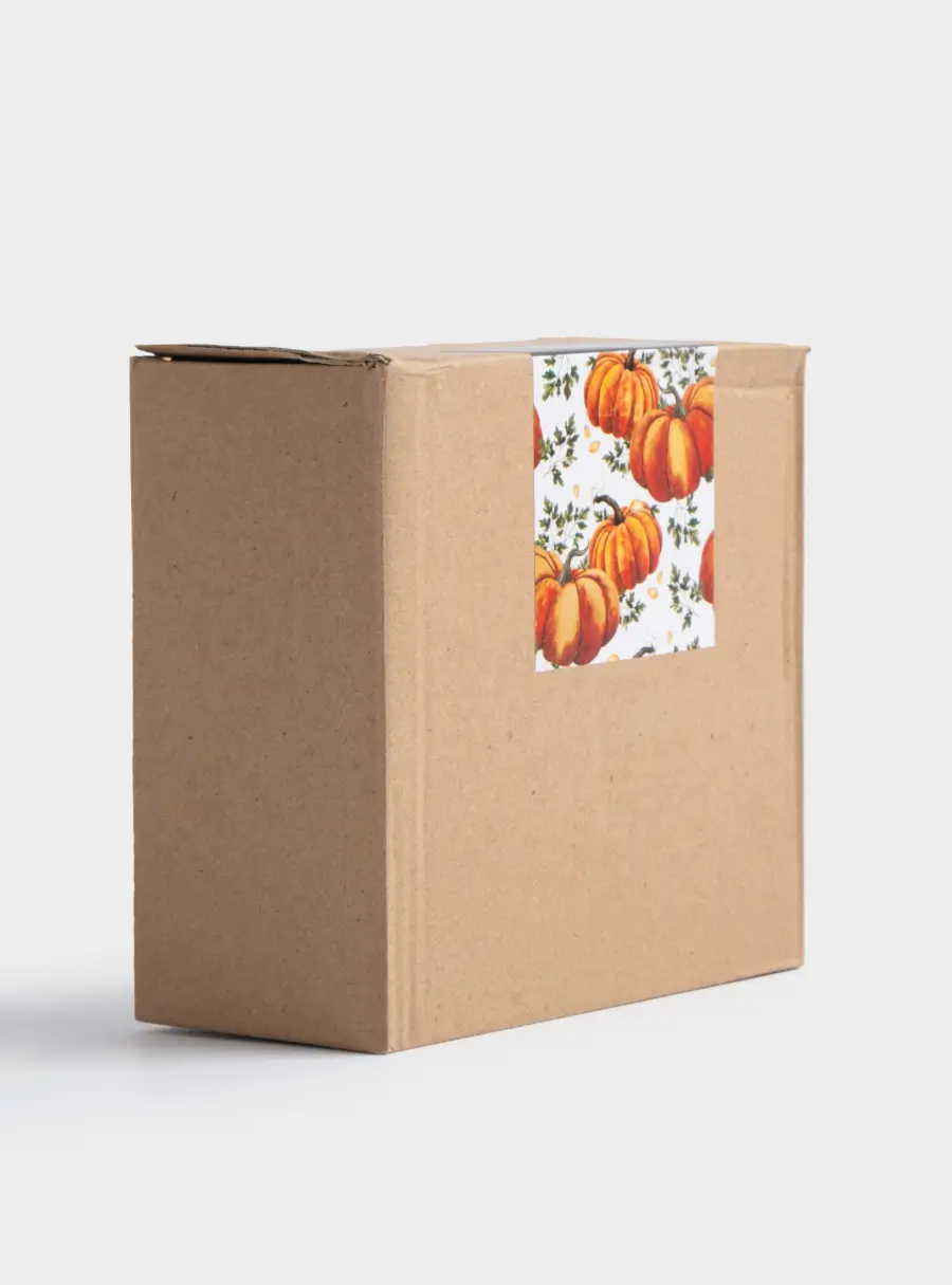 Пиала, 14х5 см, керамика, оранжево-зеленая, Тыква, Bright pumpkin, image-6