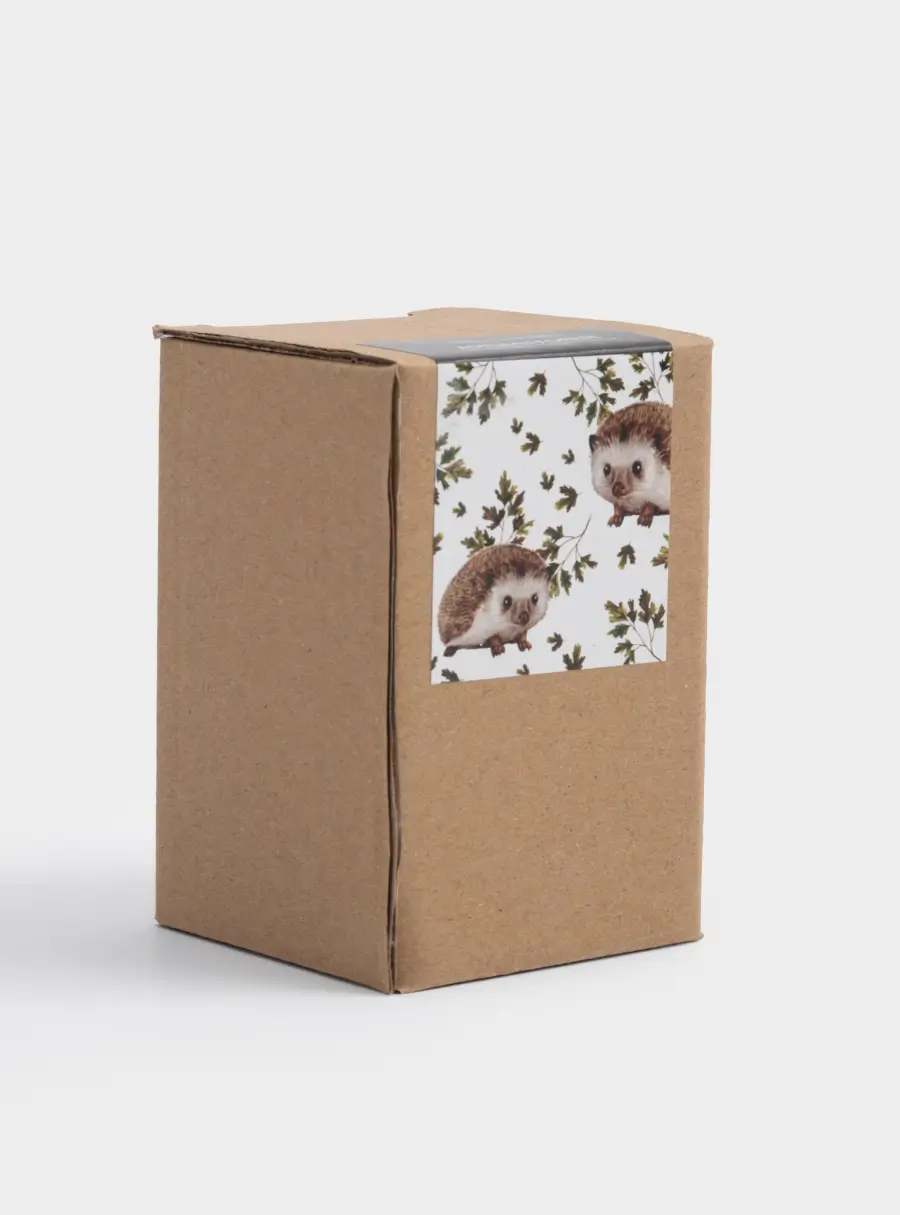 Емкость для соли или перца, 5 см, керамика, коричневая, Еж с листом, Autumn forest, image-5