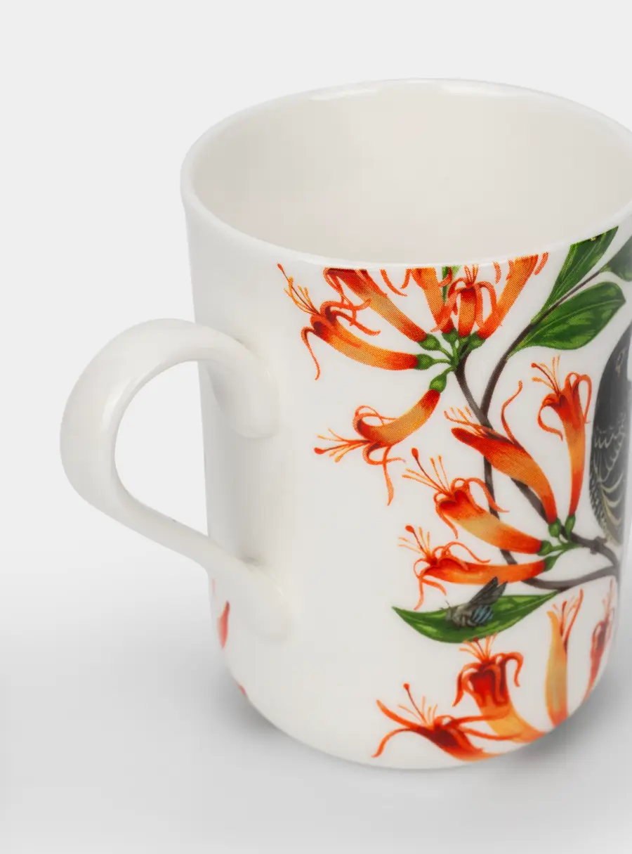 Кружка, 330 мл, фарфор F, белая, Бородавчатый медосос, Lyric ,image-2