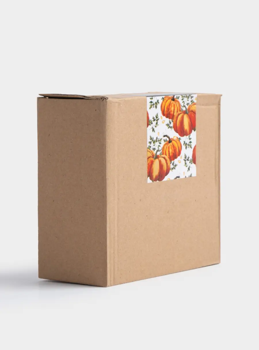 Пиала, 14х5 см, керамика, оранжево-зеленая, Тыква, Bright pumpkin, image-6