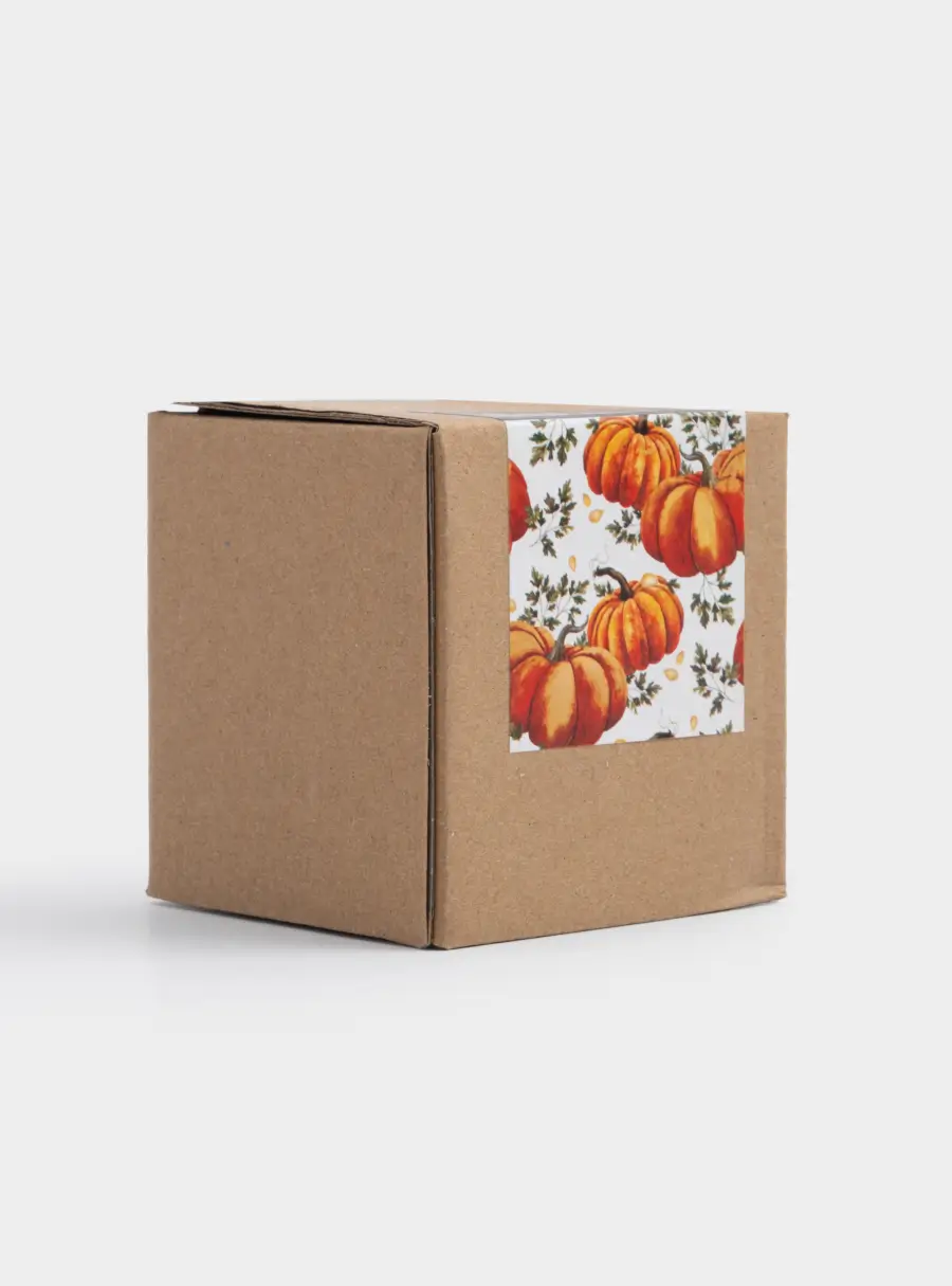 Емкость для соли или перца, 7 см, керамика, оранжевая, Тыква, Bright pumpkin, image-6