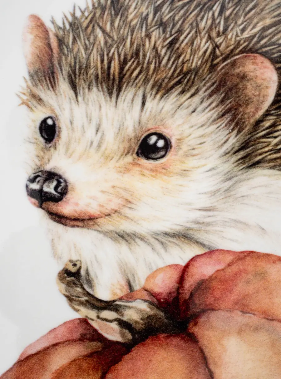 Подставка под кружку, 11 см, квадратная, керамика/пробка, белая, Еж Autumn forest ,image-1