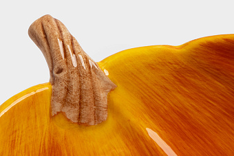 Блюдо, 23 см, керамика, оранжевое, Тыква, Bright pumpkin