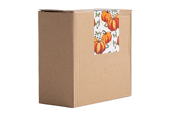 Пиала, 14х5 см, керамика, оранжево-зеленая, Тыква, Bright pumpkin